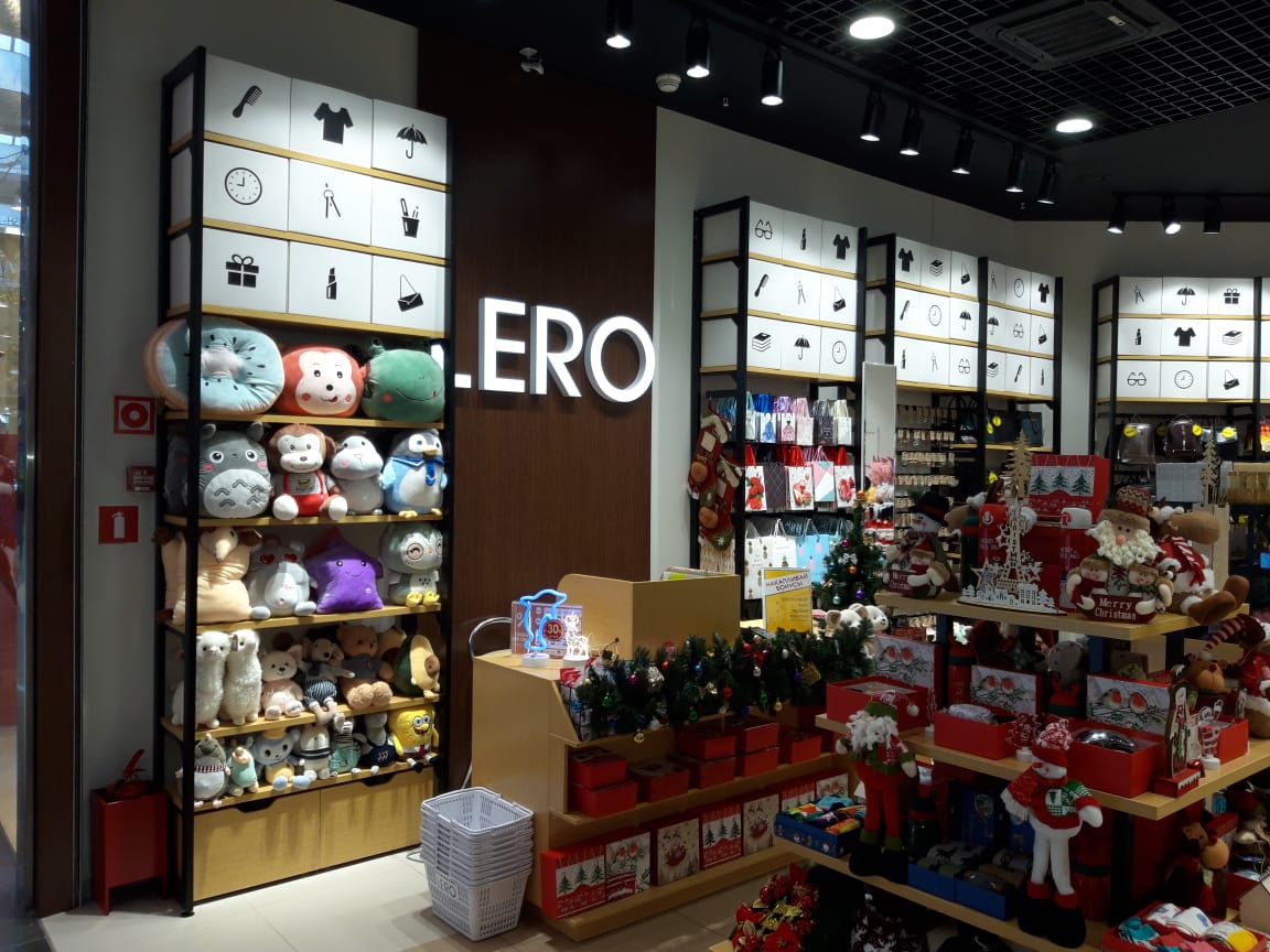 �����������-���������� ������ � �������� LERO1