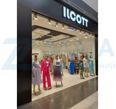 �����������-��������� ������ � �������� ILCOTT